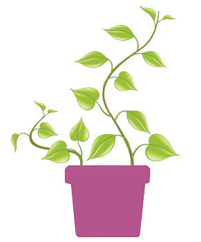 Spring - Health Talks in Medina