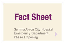 Fact Sheet