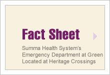 Fact Sheet
