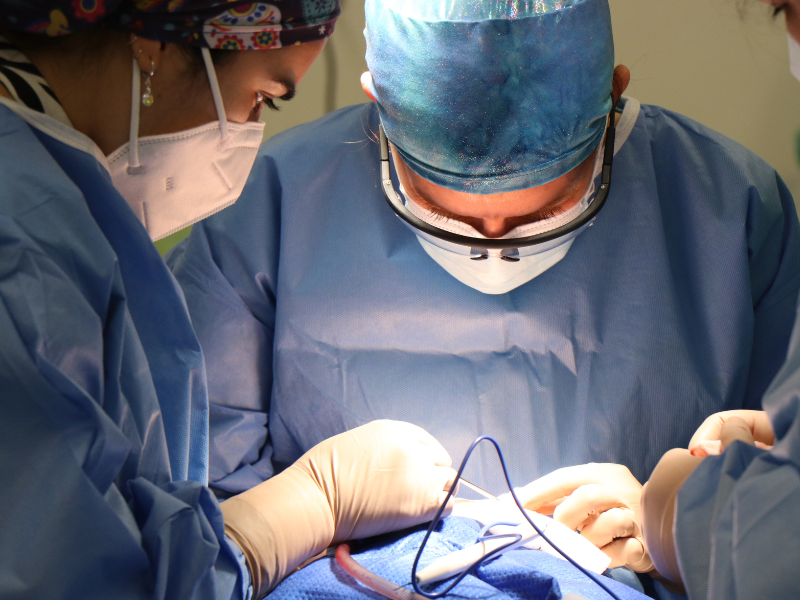 Facial Paralysis and Reanimation