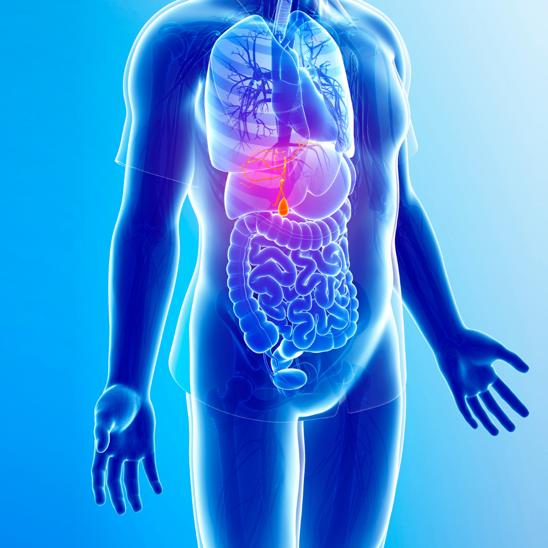 Doctor holding up anatomy diagram