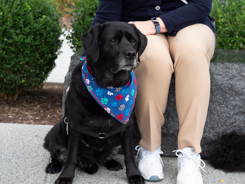 WAGtime Community Benefit