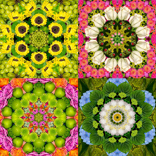 Summa Health Artist Laurie Jacobs