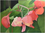 Red Flowers II, 2022