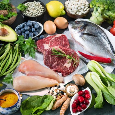 display of protein nutrients