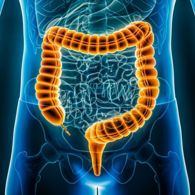 Image of colon