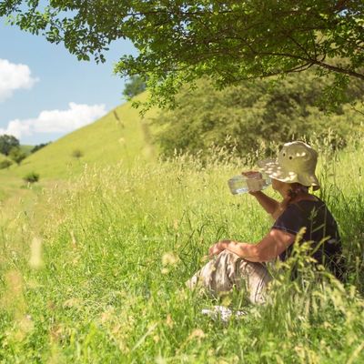 Woman sitting under tree shade drinking water