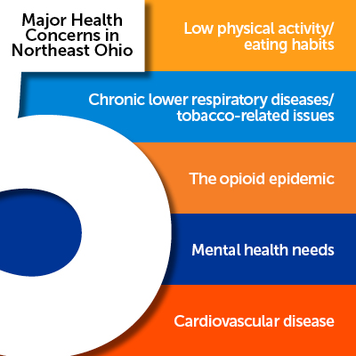 Top 5 Health Concern infographic 