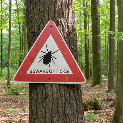 Beware of Ticks signs