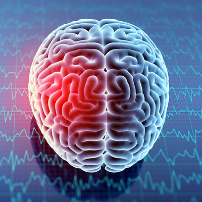 brain with highlight red portion