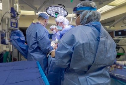 Plastic Surgery Fellowship Summa Health