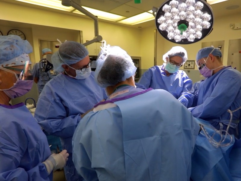 Summa Health Plastic Surgery Fellows