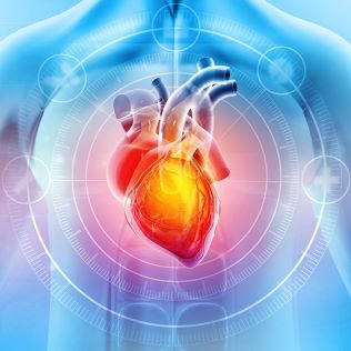 Heart Image