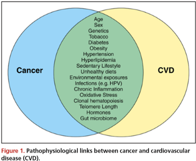 Pathophysiological links between cancer and cardiovascular disease (CVD)