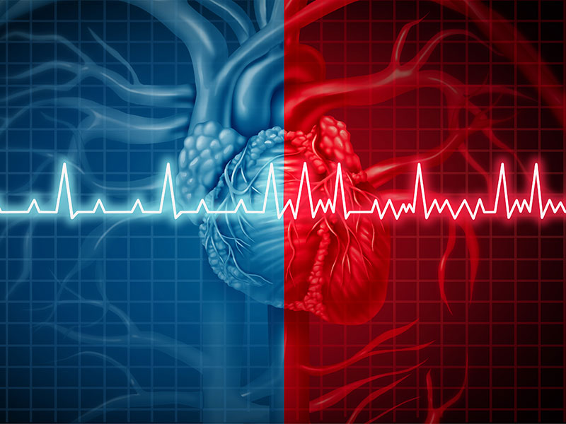 heart rhythm images