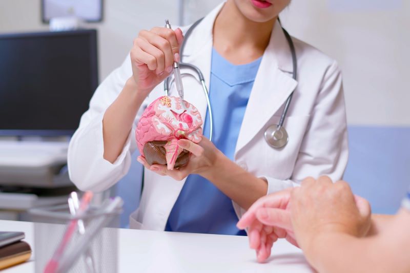 Doctor pointing at fake brain