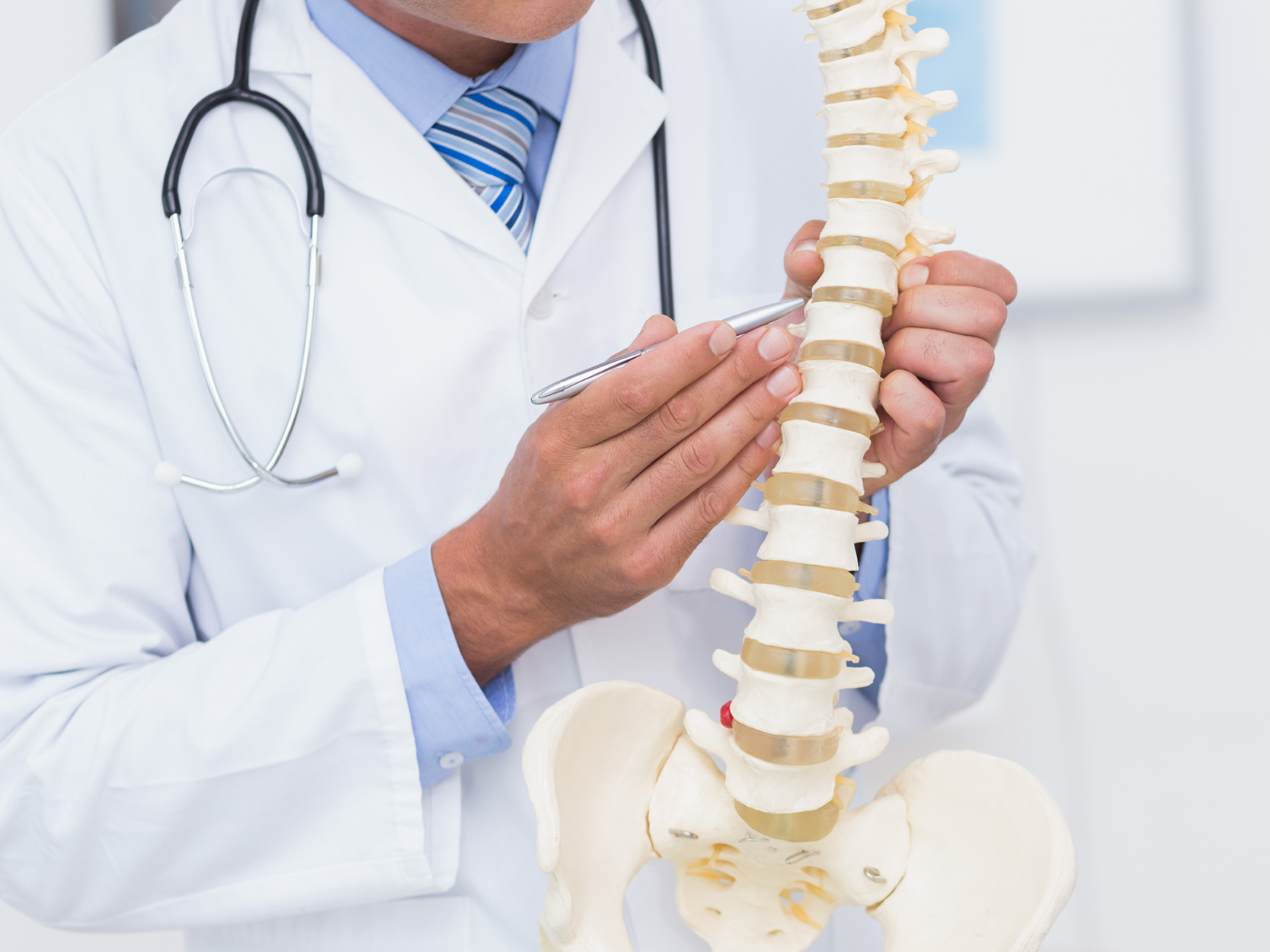 Doctor with model of spine