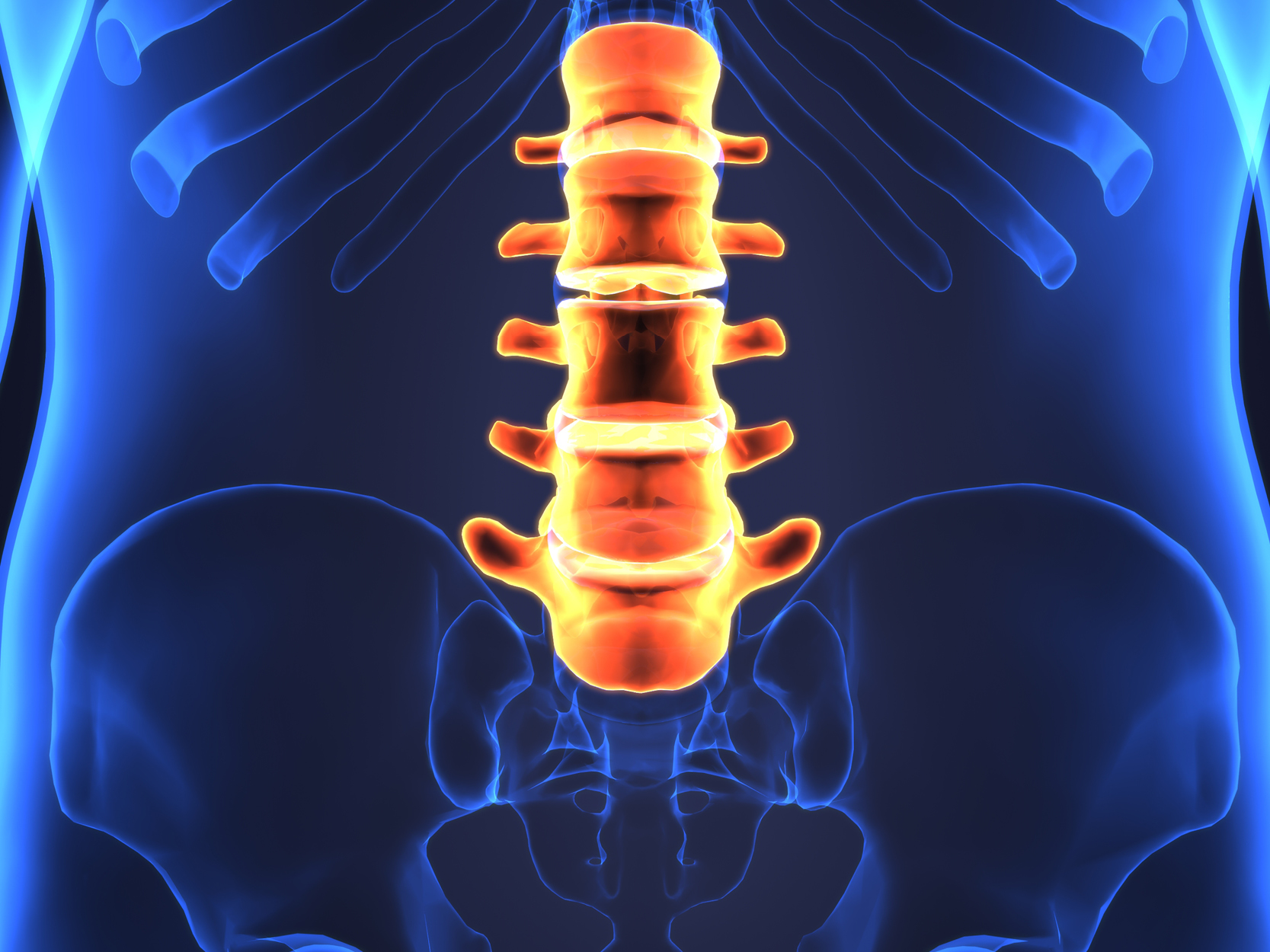 3d illustration of human body Lumbar vertebrae bone anatomy