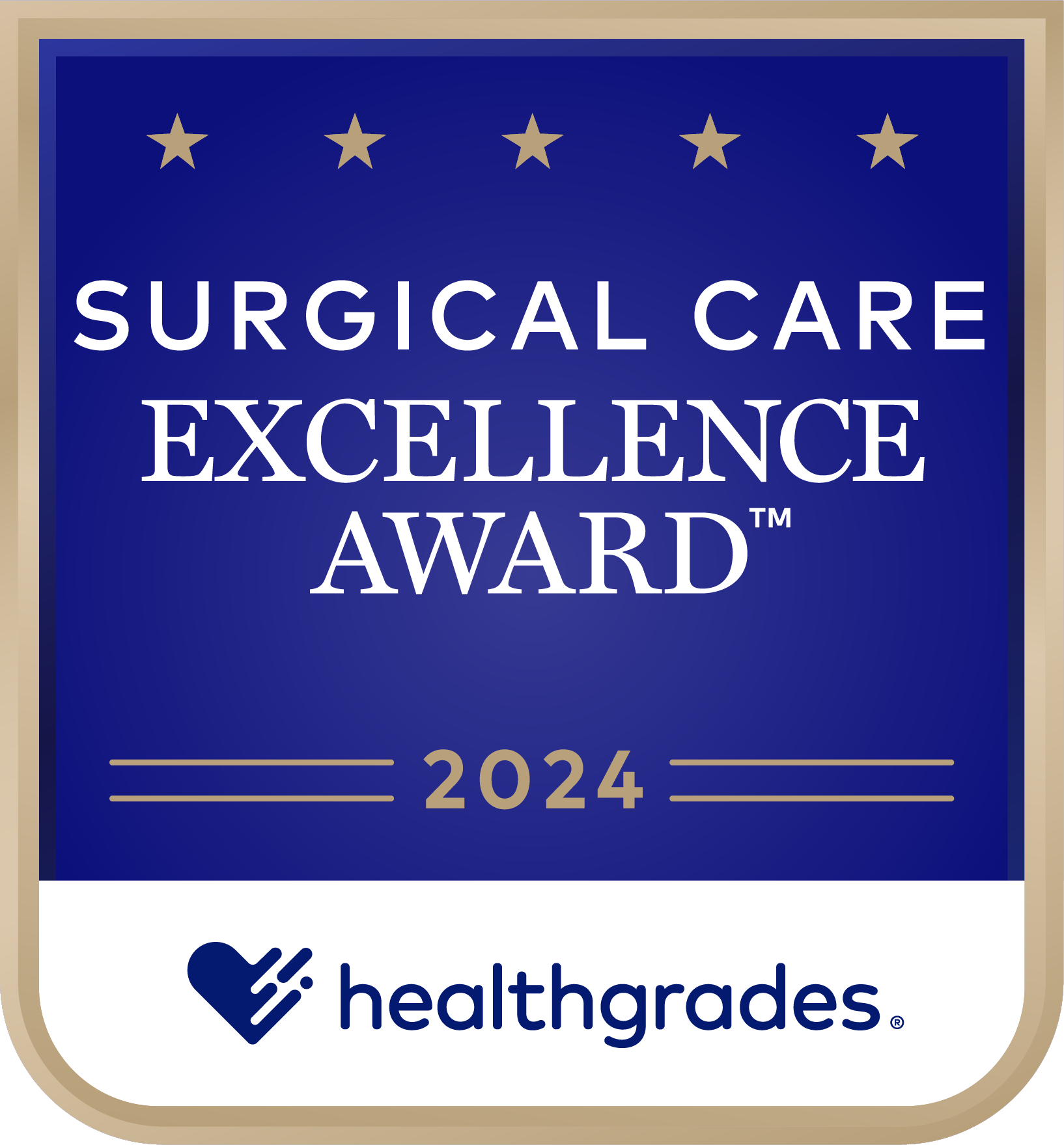 Surgical Care Excellence Award 2024