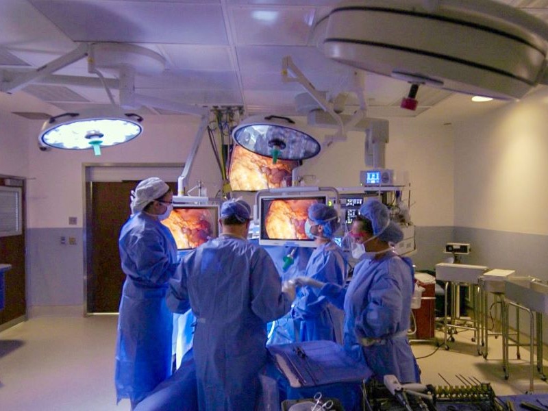 Bariatric Surgeons