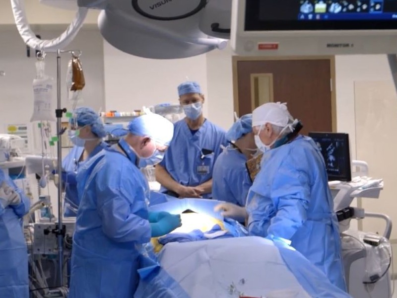 Vascular Surgeons at Summa Health