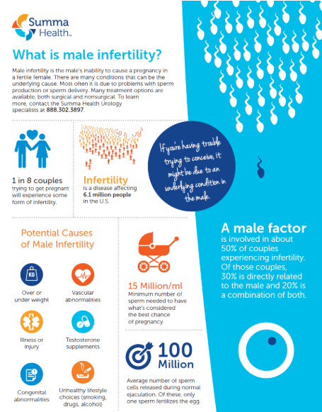 Male Infertility Infographic