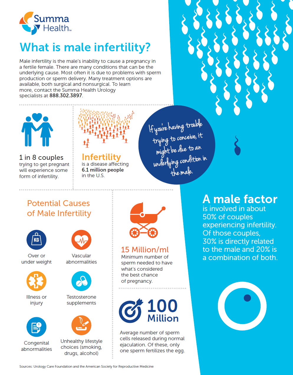 Male Infertility Infographic