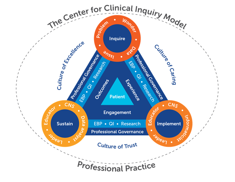nursing model graphic
