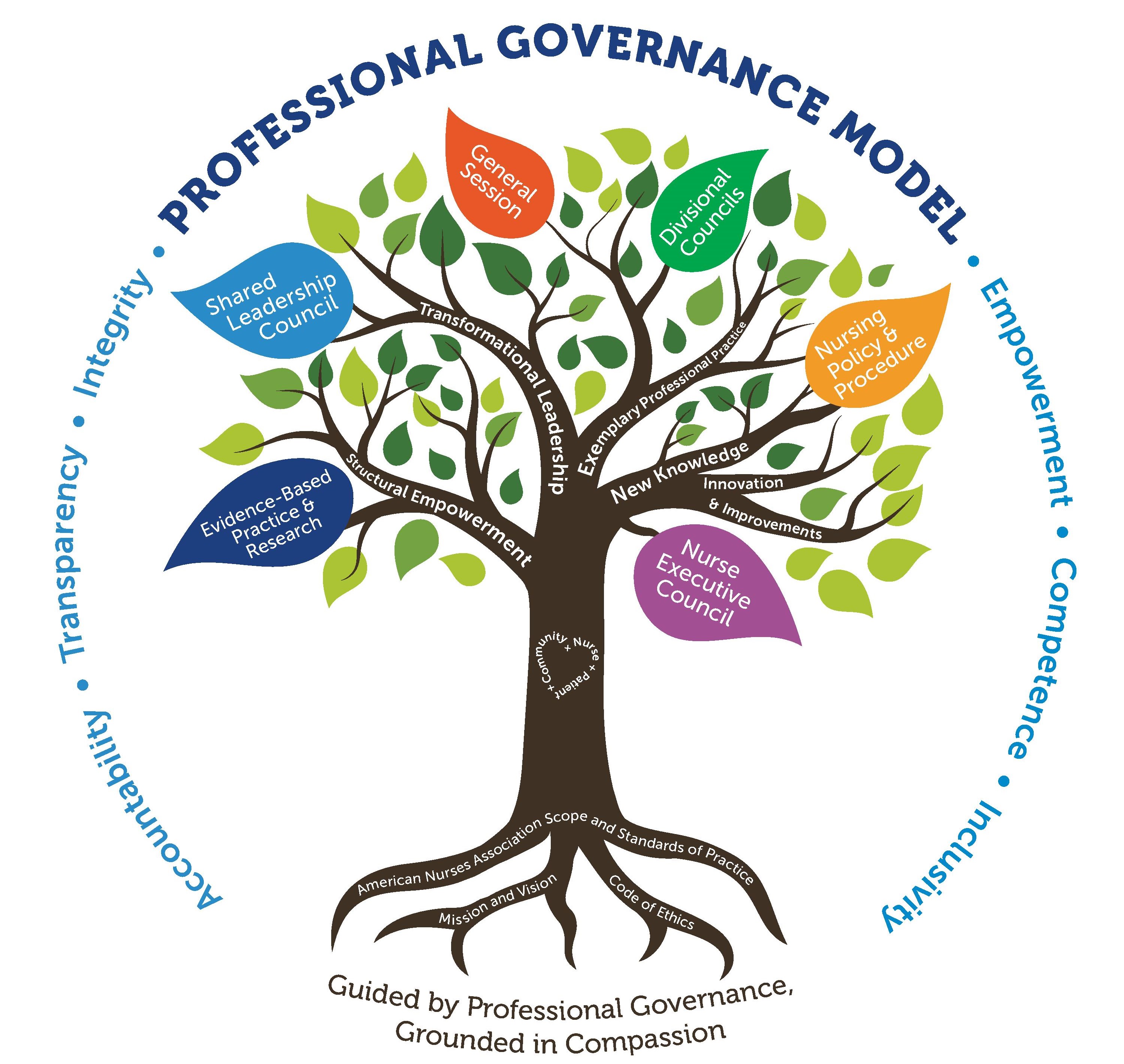 professional governance model