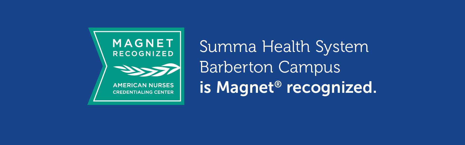 Nursing Recognitions & Awards at Summa Health in Northeast Ohio