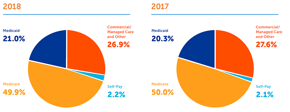 SummaCare Payor Mix Chart