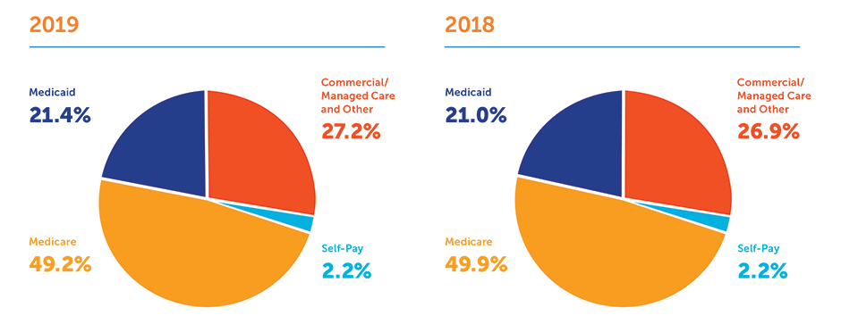 SummaCare Payor Mix Chart